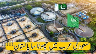 This is Mini Pakistan in Saudi Arabia | PAKISTANI COMMUNITY IN JEDDAH | SAUDI ARABIA