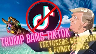 Trump Bans Tiktok - TikToker's Reaction On USA TikTok Ban Funny Memes Vines Compilation
