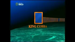 Sua maestà il cobra (1997)