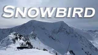 Ski at Snowbird | From Mineral Basin to Peruvian Gulch