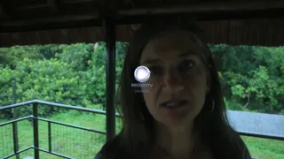 Visit Ngamba Island Chimpanze Sanctuary