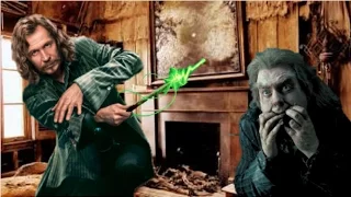 What If Sirius Black Killed Peter Pettigrew?   Harry Potter Theory