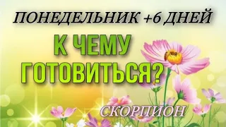 🛑 СКОРПИОН,♏️, К чему готовиться? 📆, Неделя 10-16  июля, Таро, гороскоп, гадание онлайн,