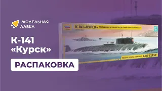 Сборная модель российского атомного подводного ракетного крейсера К-141. Распаковка