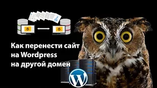 Как перенести сайт на Wordpress на новый хостинг, домен