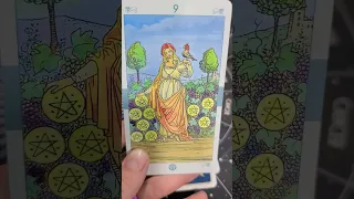 Day 69- 78 Days of Tarot | Nine of Pentacles #tarot #tarotcards #tarotreading