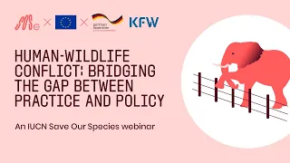 Human-Wildlife Conflict: Conservation and Policy - An IUCN Save Our Species Webinar