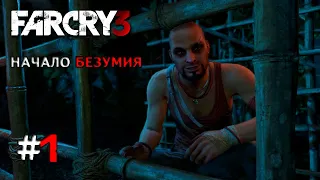 Far Cry 3 Начало Безумия #1