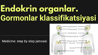 ENDOKRIN | UMUMIY TUSHUNCHA | GORMONLAR. ULARNING KLASSIFIKATSIYASI