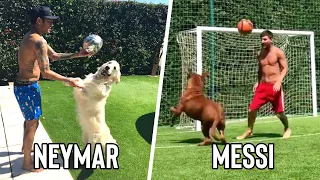 Famous Footballers & Their Dogs / Pets