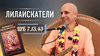 2024-06-04 — "Лилаискатели" ШБ 7.13.43 в Ташкенте