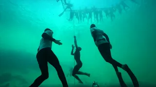 Vertical Blue 2016   William Trubridge World Record Dive