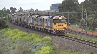 POWERFUL Triple 81 Class Diesel Locomotives on a Pacific National Grain - Empty and Fully Loaded