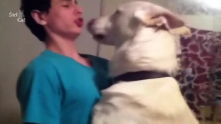 Dogs Never Lie About Love Compilation NEW(Best of Compilation)