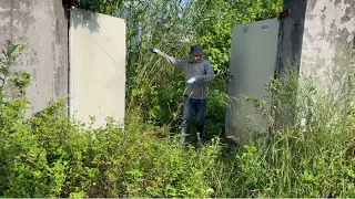 Transforming the front yard of a small abandoned house with overgrown trees - Amazing results