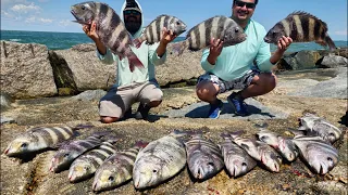 EPIC MONSTER Sheepshead Bite Port Aransas Jetties ft. Squidder542