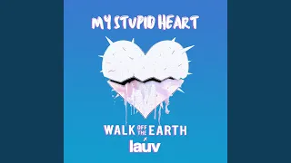 My Stupid Heart (with Lauv)