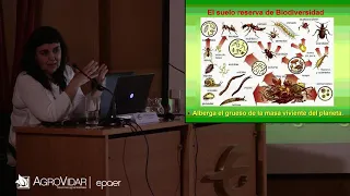 Mª DEL CARMEN JAIZME. Las micorrizas como bioindicadoras de la fertilidad.