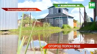 В Васильево пятый год подряд огороды превращаются в болото | ТНВ