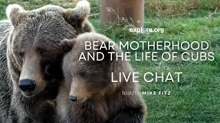 Bear Motherhood and the Life of Cubs | Brooks Live Chat