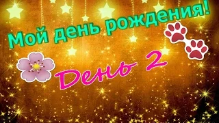 Мой день рождения! (День 2, украшаем дом и убираемся)