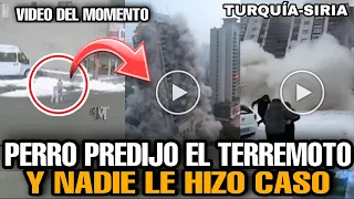 Perro aviso sobre el TERREMOTO en TURQUIA MINUTOS ANTES y NADIE le HIZO CASO temblor en siria videos