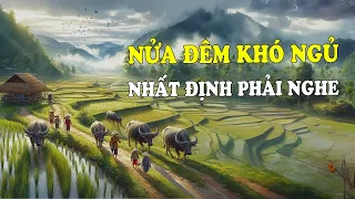 Nửa Đêm Khó Ngủ Nhất Định Phải Nghe | Đọc Truyện Đêm Khuya Đài Tiếng Nói Việt Nam