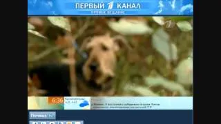 30.08.2012-Первый канал-доброе утро