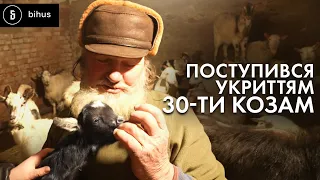 Compassion in Times of War: Rescuing Animals in Frontline Orikhiv and Huliaipole