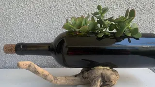 CUT WINE BOTTLES AS PLANTER - Recycling, Upcycling #succulents #planters #plants