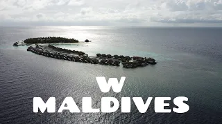 W Maldives, Fabulous Overwater Villa, baby sharks