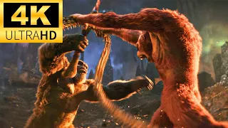 Godzilla X Kong: The New Empire - Kong Meets Skar King - 4K Scene HD