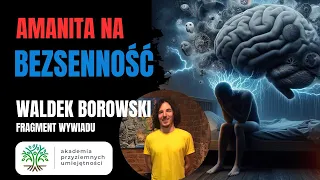 Grzyby prozdrowotne na bezsenność - muchomor czerwony (amanita muscaria) poprawia jakość snu