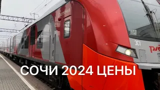 СОЧИ 2024. ЕДЕМ НА ЛАСТОЧКЕ РЖД В АДЛЕР. ЗАСЕЛЕНИЕ В ОТЕЛЬ.