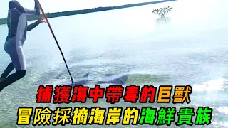 漁民冒著生命危險，採摘海岸礁石上的鵝頸藤壺，漁民為了生存，不惜代價捕獲海中帶毒的魔鬼魚《荒野大餐》第二季 43