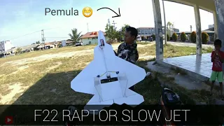 RC plane F22 raptor profile jet homemade for beginner - Vlog