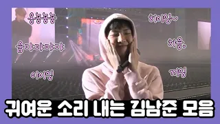 세상 귀여운 소리 내는 김남준 모음ㅠㅠㅠㅠㅠ namjoon's cute sound effects