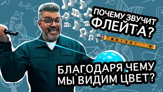 Как свет превращается в цвет? / Проверено наукой