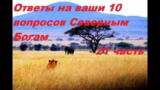 Грядущий царь, Ответы на ваши 10 вопросов Северным Богам - 21 часть