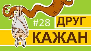 Мультсеріал Пригоди лісових друзів – Друг Кажан