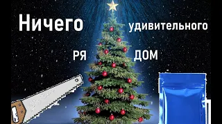 Как вынести новогоднюю елку: ничего удивительного рядом