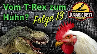 Wie wurde aus dem T-Rex das Huhn 🦖 gibt es Wissenschaftliche Beweise für die Evolution? | Folge 13