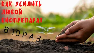 как усилить биопрепараты в 10 раз. Простой способ за копейки!