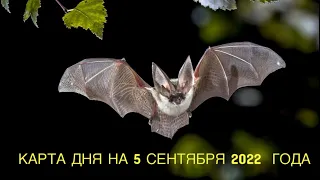 КАРТА ДНЯ НА 5 СЕНТЯБРЯ 2022 ГОДА