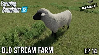 EXPANDING THE FARM!! | THE OLD STREAM FARM | Farming Simulator 22 - ep 14