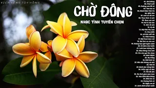 Chờ Đông, Phút Cuối - Tuyển Chọn Nhạc Tình Hải Ngoại Say Đắm Vạn Con Tim Yêu