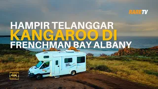 Ep 10 | Hampir terlanggar kangaroo liar di Frenchman Bay, Albany!