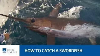 How to catch a swordfish - fishing tip with Paul Worsteling | Club Marine