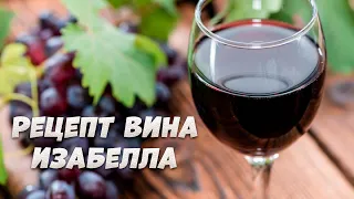 Домашнее вино из винограда изабелла пошаговый рецепт от А до Я.