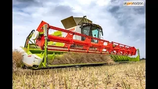 Harvest 2018 - CLAAS Lexion 780 TT on its first 2018 harvest of OSR - Nottinghamshire UK